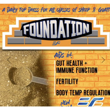 Essential Foundation